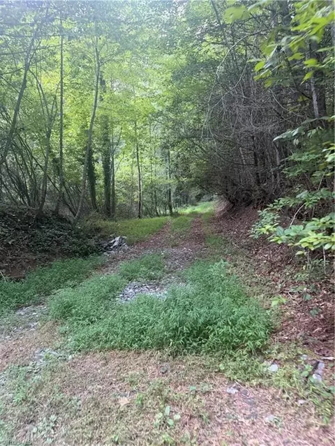 0 Us Highway 421 W, Purlear, NC 28665 photo 11