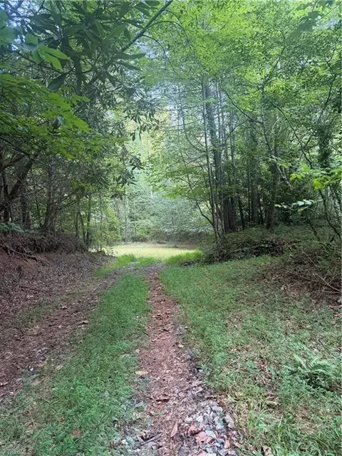 0 Us Highway 421 W, Purlear, NC 28665 photo 8