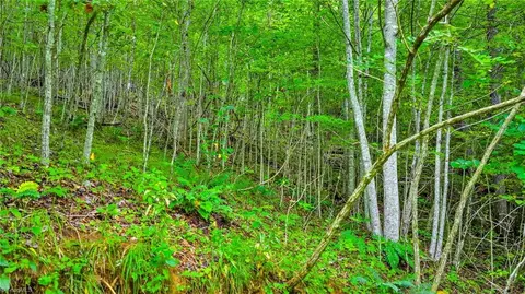 tbd Deep Ford Rd W, Lansing, NC 28643 photo 20