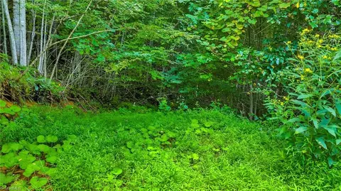 tbd Deep Ford Rd W, Lansing, NC 28643 photo 6