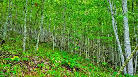 tbd Deep Ford Rd W, Lansing, NC 28643 photo 2