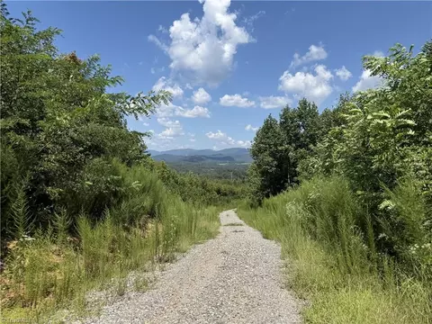 Off Bauguess Mill Road, Traphill, NC 28685 photo 2
