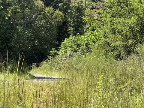 Off Bauguess Mill Road, Traphill, NC 28685 photo 4