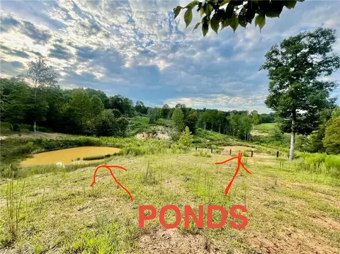 tbd Ellas Ln, Roaring River, NC 28669 photo 2