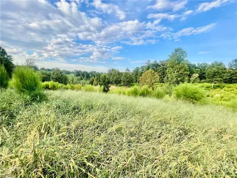tbd Ellas Ln, Roaring River, NC 28669 photo 23