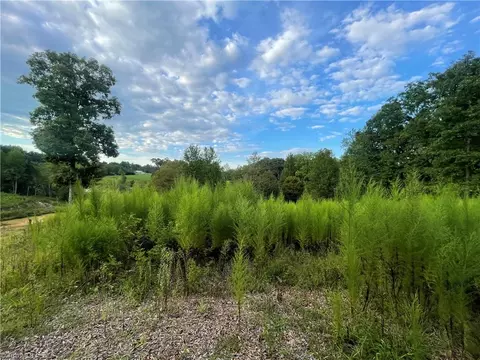 tbd Ellas Ln, Roaring River, NC 28669 photo 26