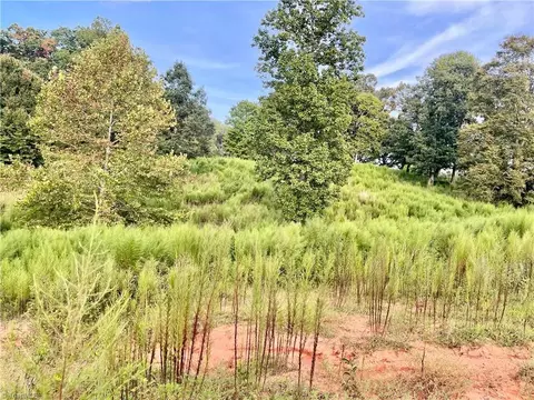 tbd Ellas Ln, Roaring River, NC 28669 photo 24
