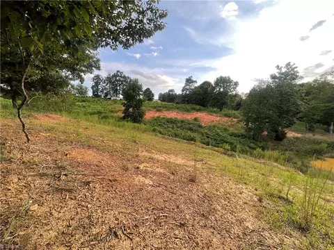 tbd Ellas Ln, Roaring River, NC 28669 photo 25