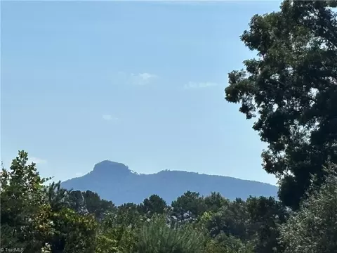 150 Springfield Rd, Pilot Mountain, NC 27041 photo 6