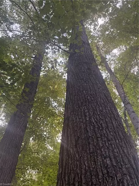 lot1 Edgewood Rd, Wilkesboro, NC 28697