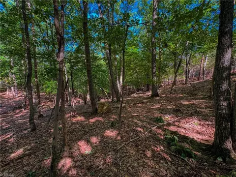 784 Palisade Trl, Denton, NC 27239