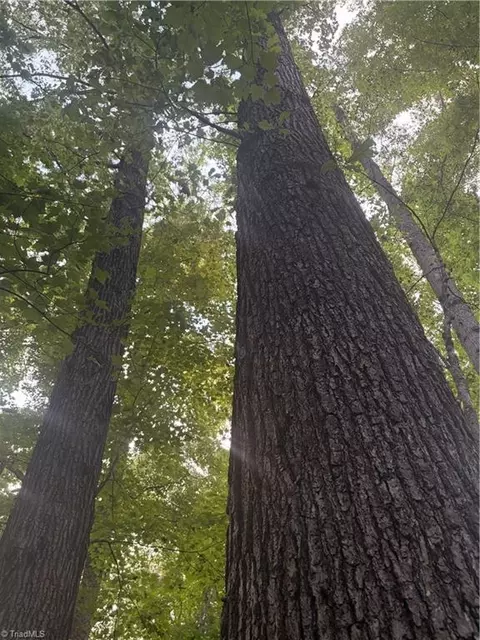 lot5 Edgewood Rd, Wilkesboro, NC 28697