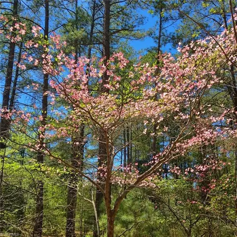 Other - 324 Main St E, Candor, NC 27229 photo 7 of 10
