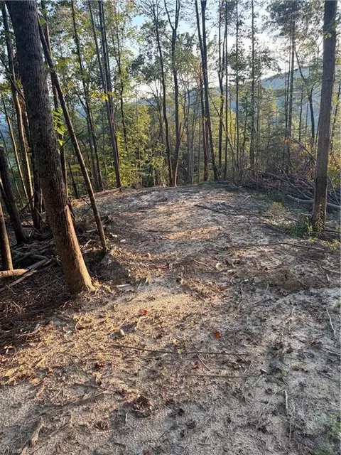tbd Lot 2 Old Nc Highway 16, Millers Creek, NC 28651