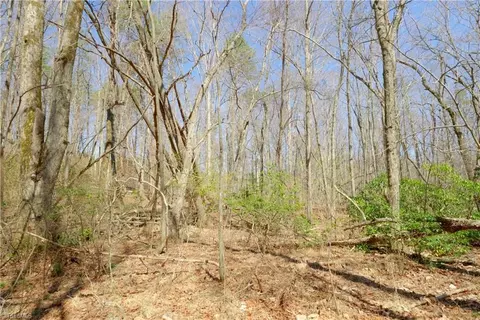 8 Old Mill Rd, Pinnacle, NC 27043 photo 11