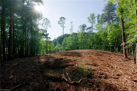 8 Old Mill Rd, Pinnacle, NC 27043 photo 3