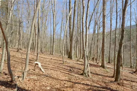 8 Old Mill Rd, Pinnacle, NC 27043 photo 9