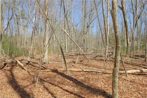 8 Old Mill Rd, Pinnacle, NC 27043 photo 6