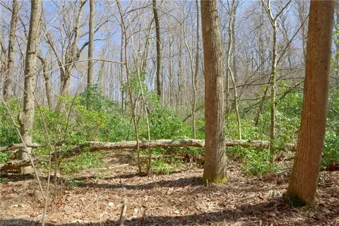 8 Old Mill Rd, Pinnacle, NC 27043 photo 12