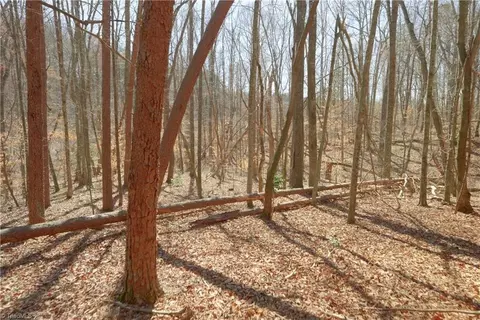 8 Old Mill Rd, Pinnacle, NC 27043 photo 8