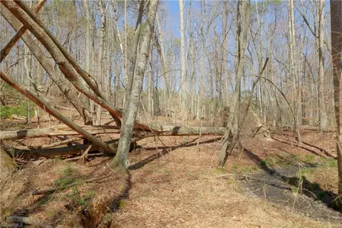 8 Old Mill Rd, Pinnacle, NC 27043 photo 13