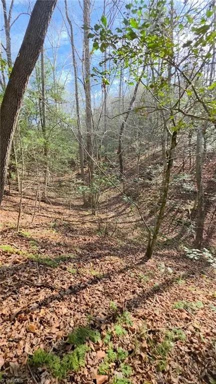 tbd Beacon Ln, Mount Airy, NC 27030 photo 16