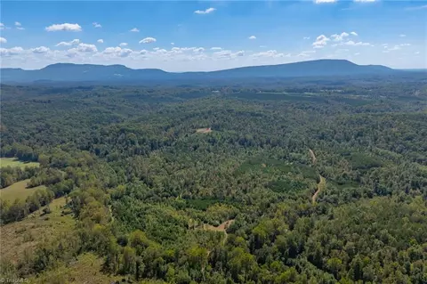 0 Wright Rd, Westfield, NC 27053 photo 3