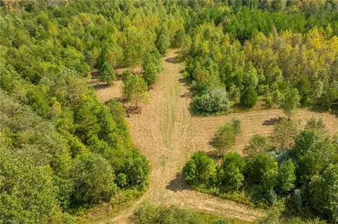 0 Wright Rd, Westfield, NC 27053 photo 10
