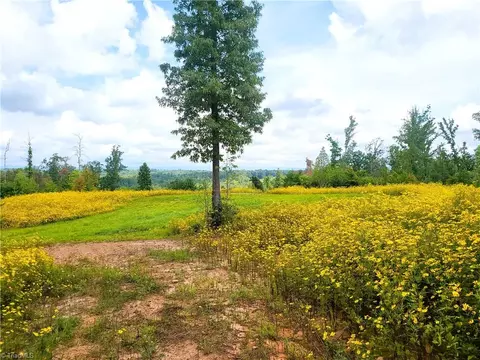0 Wright Rd, Westfield, NC 27053 photo 16