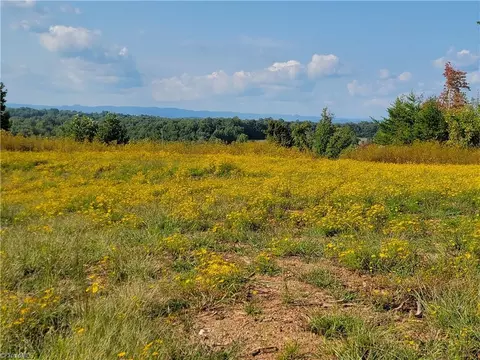 0 Wright Rd, Westfield, NC 27053 photo 15