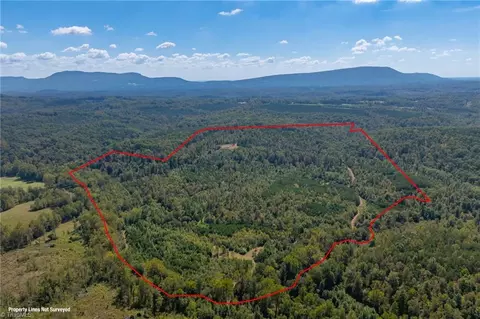 0 Wright Rd, Westfield, NC 27053