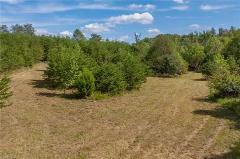 0 Wright Rd, Westfield, NC 27053 photo 14