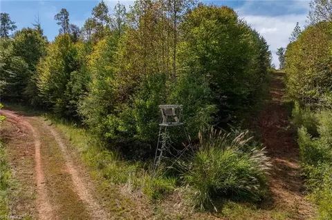0 Wright Rd, Westfield, NC 27053 photo 8