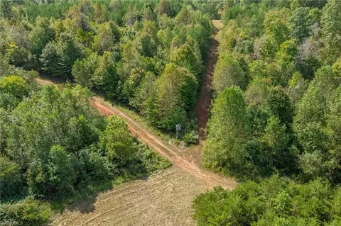 0 Wright Rd, Westfield, NC 27053 photo 9