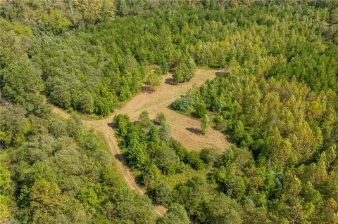 0 Wright Rd, Westfield, NC 27053 photo 7