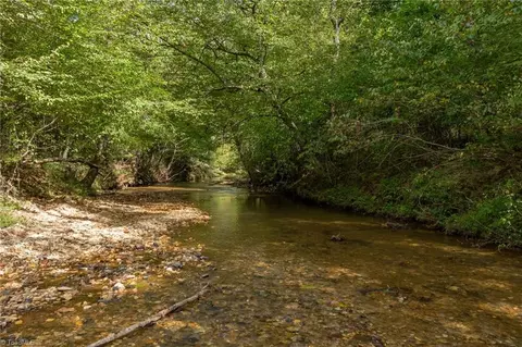 0 Wright Rd, Westfield, NC 27053 photo 13
