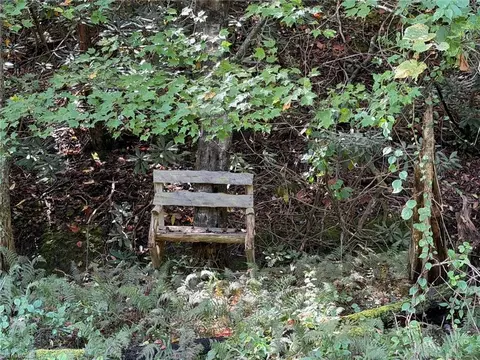Exterior - lot60 Jonathan Dr, Lowgap, NC 27024 photo 6 of 7