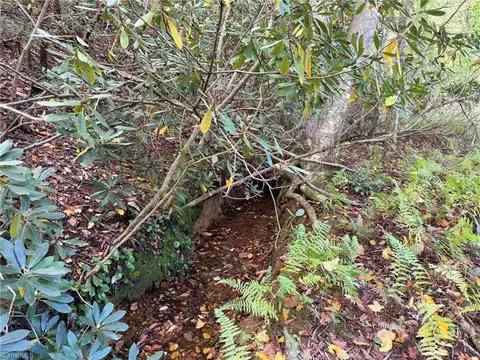 Other - lot60 Jonathan Dr, Lowgap, NC 27024 photo 2 of 7
