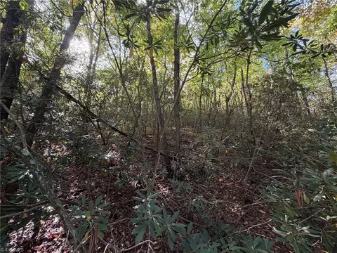 Exterior - lot60 Jonathan Dr, Lowgap, NC 27024 photo 5 of 7
