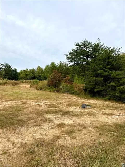 7752 Pine St W, Lowgap, NC 27024 photo 28
