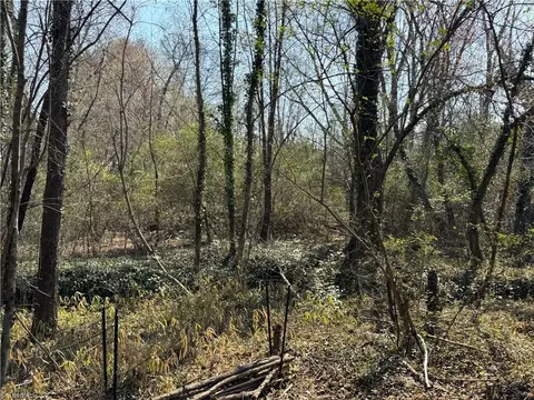 Other - 000 Barlow Ct, King, NC 27021 photo 16 of 20