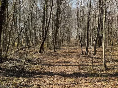 Other - 000 Barlow Ct, King, NC 27021 photo 18 of 20