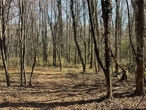 Other - 000 Barlow Ct, King, NC 27021 photo 15 of 20