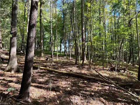 Other - 00 One Mile Rd, Traphill, NC 28635 photo 12 of 16