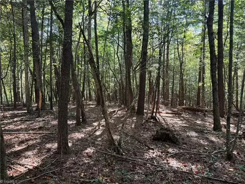 Other - 00 One Mile Rd, Traphill, NC 28635 photo 14 of 16