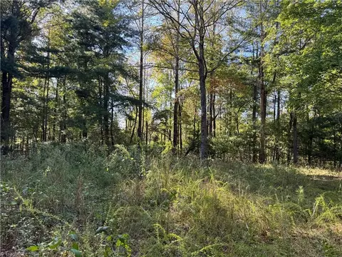 Other - 00 One Mile Rd, Traphill, NC 28635 photo 16 of 16
