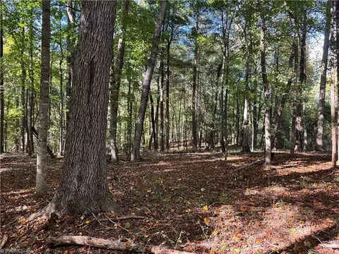 Other - 00 One Mile Rd, Traphill, NC 28635 photo 2 of 16