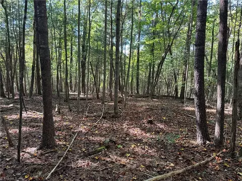 Other - 00 One Mile Rd, Traphill, NC 28635 photo 15 of 16