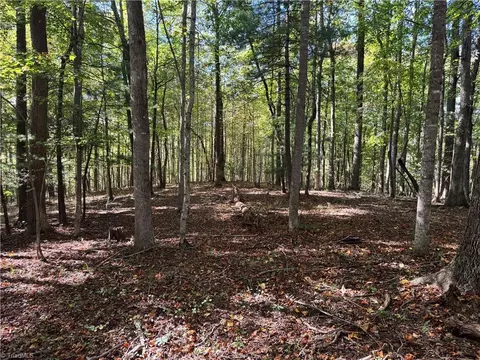 Other - 00 One Mile Rd, Traphill, NC 28635 photo 7 of 16
