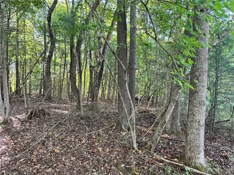 Other - 00 One Mile Rd, Traphill, NC 28635 photo 5 of 16